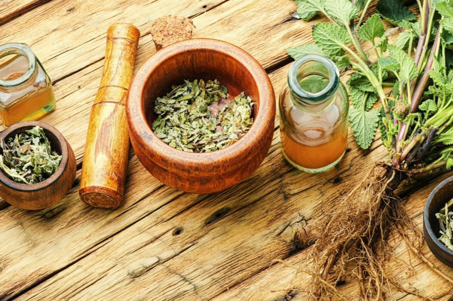 30 Plantas Medicinais e para que servem