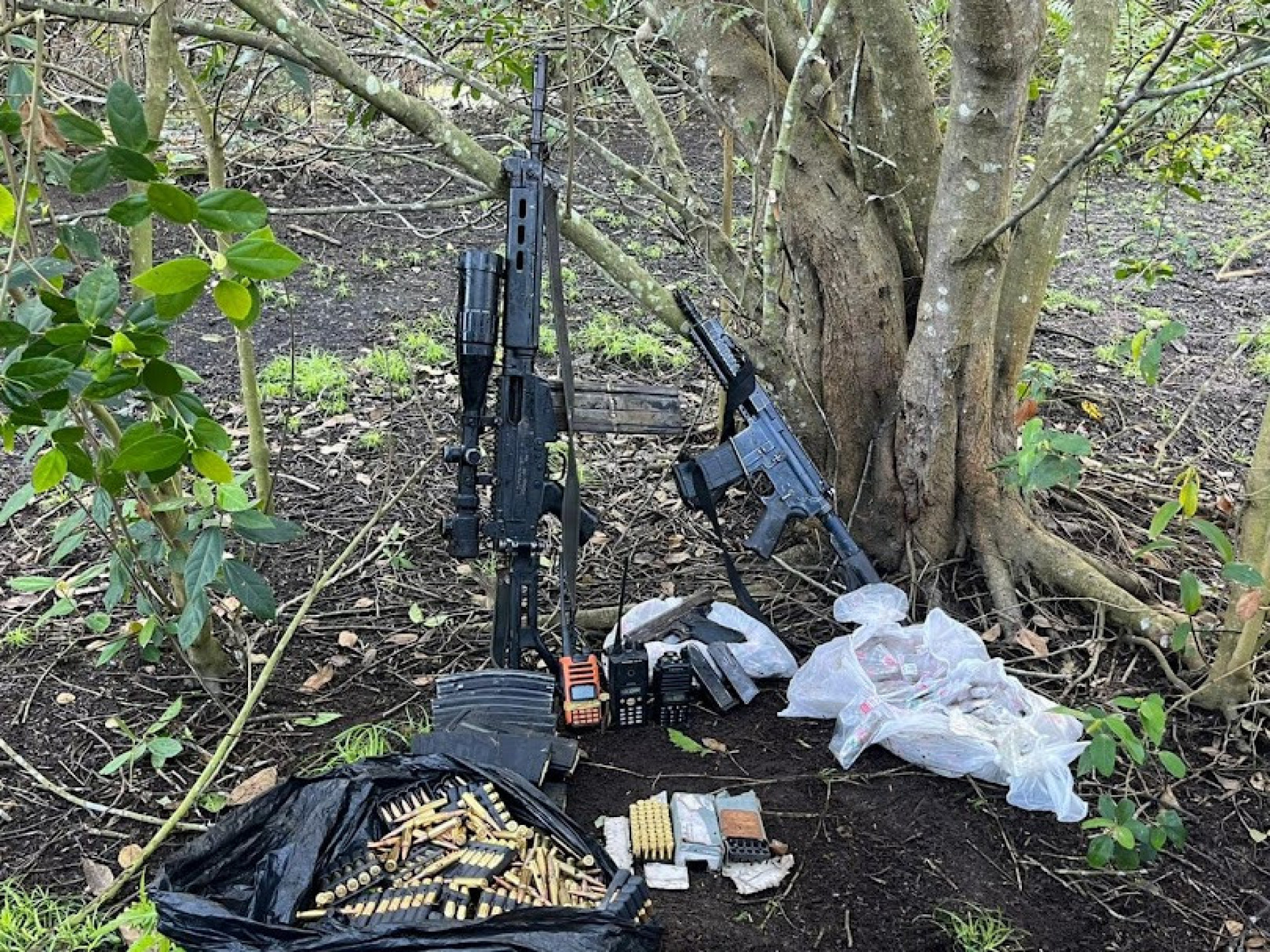 Fuzis e munições apreendidas na Gardênia Azul - Divulgação/GovRJ
