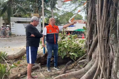 Ventos derrubam árvores e causam interrupção de energia em Rio das Ostras