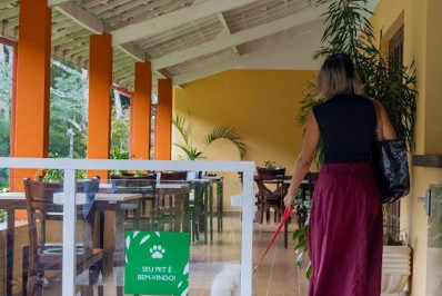 Resorts e hotéis pet friendly ganham espaço no Brasil 