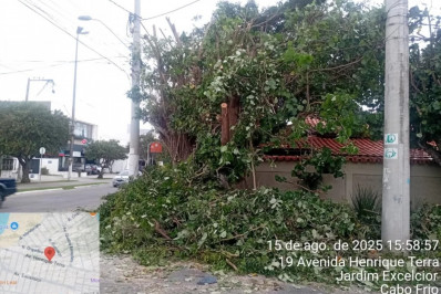 Prefeitura de Cabo Frio autua concessionária de energia por poda irregular de árvores