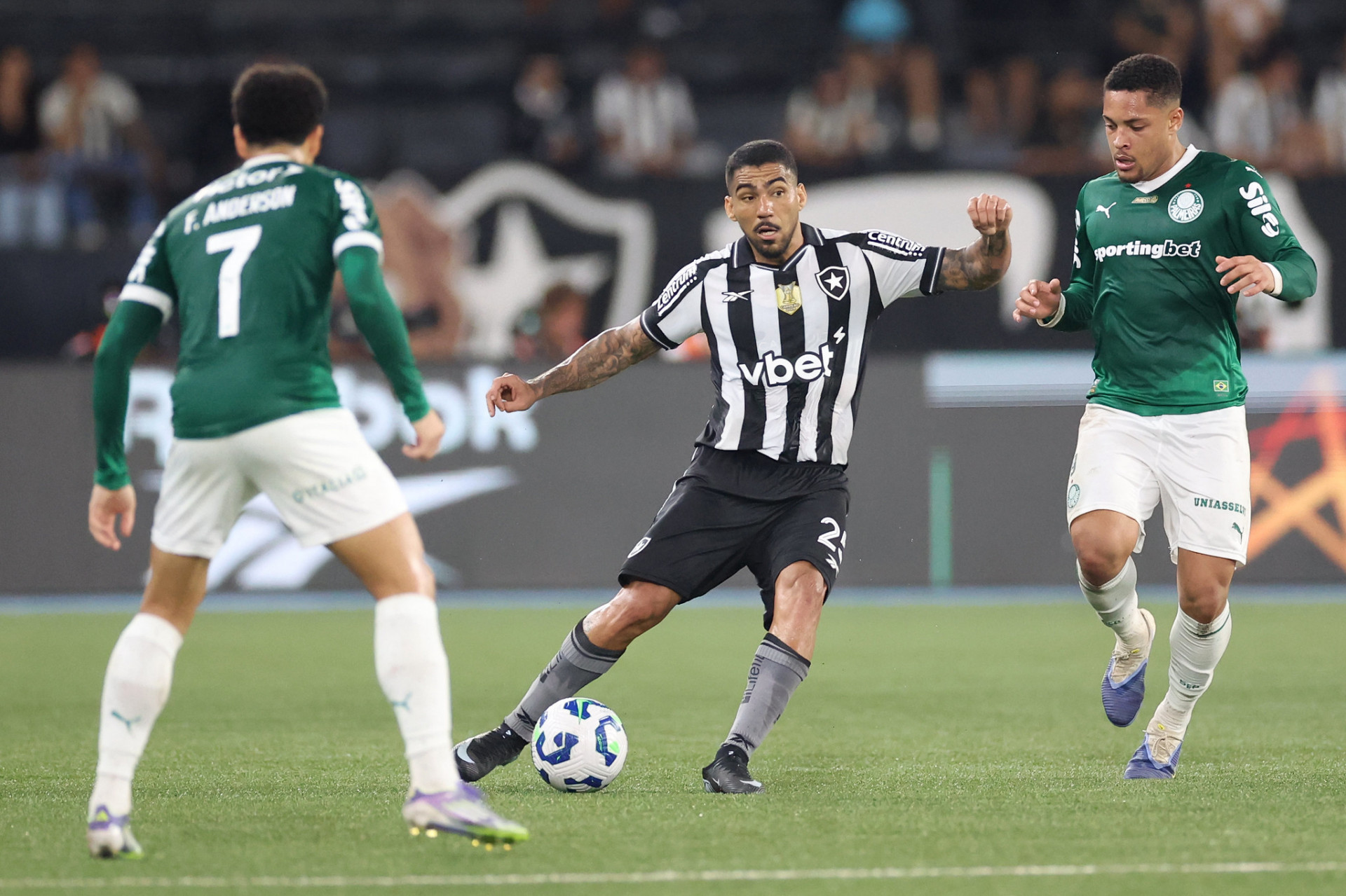 Botafogo enfrentou o Palmeiras neste domingo (17), no Nilton Santos, pela 20ª rodada do Brasileirão - Vitor Silva/Botafogo