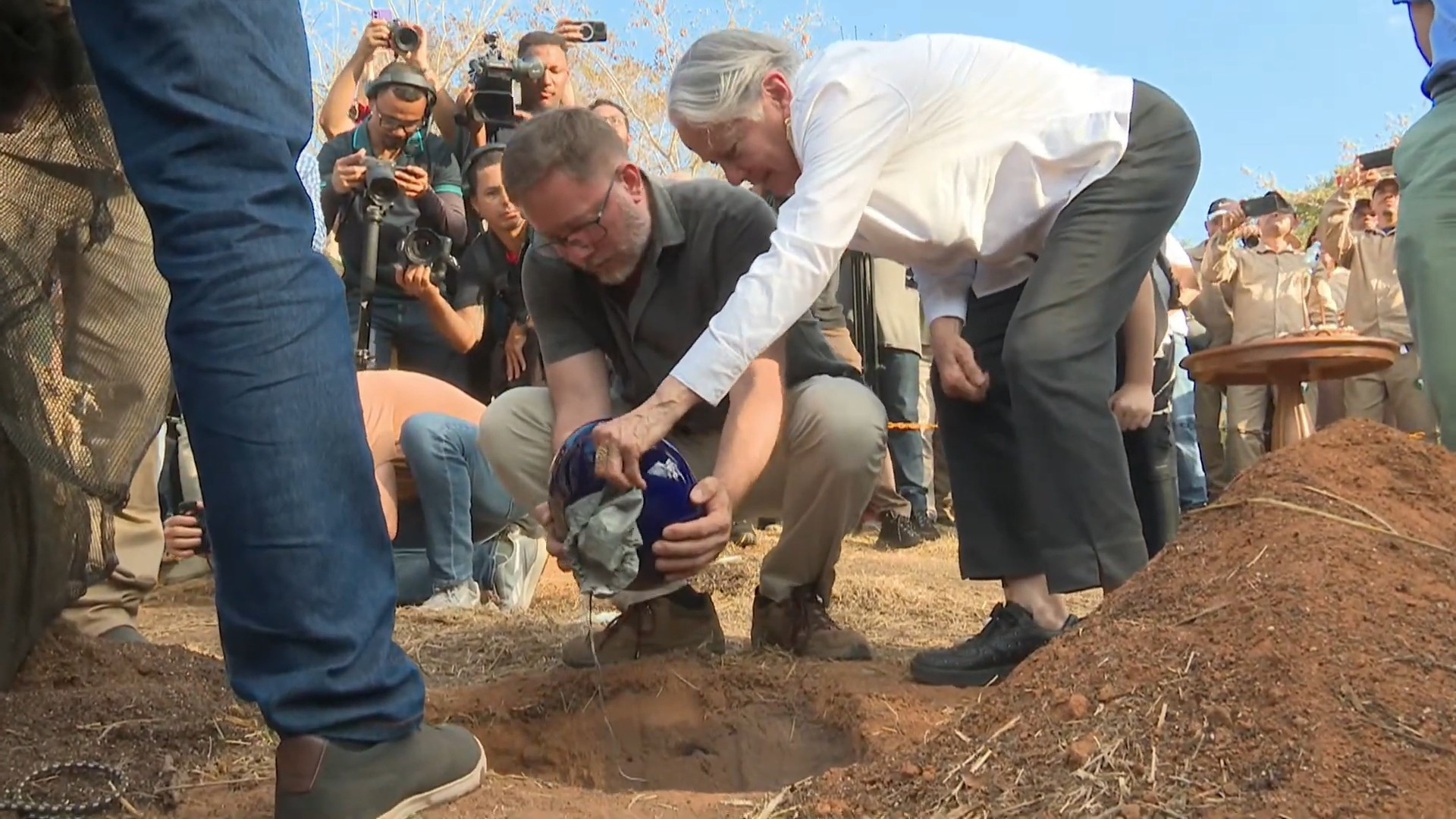 Cinzas de Sebastião Salgado são depositadas em árvore - Reprodução / YouTube