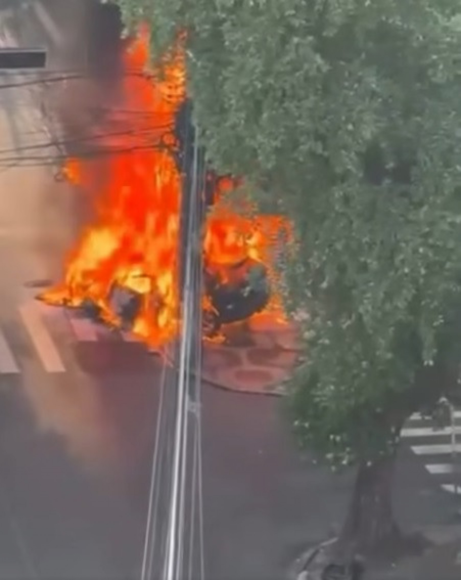 Veículo usado por bandidos na fuga foi consumido pelo fogo