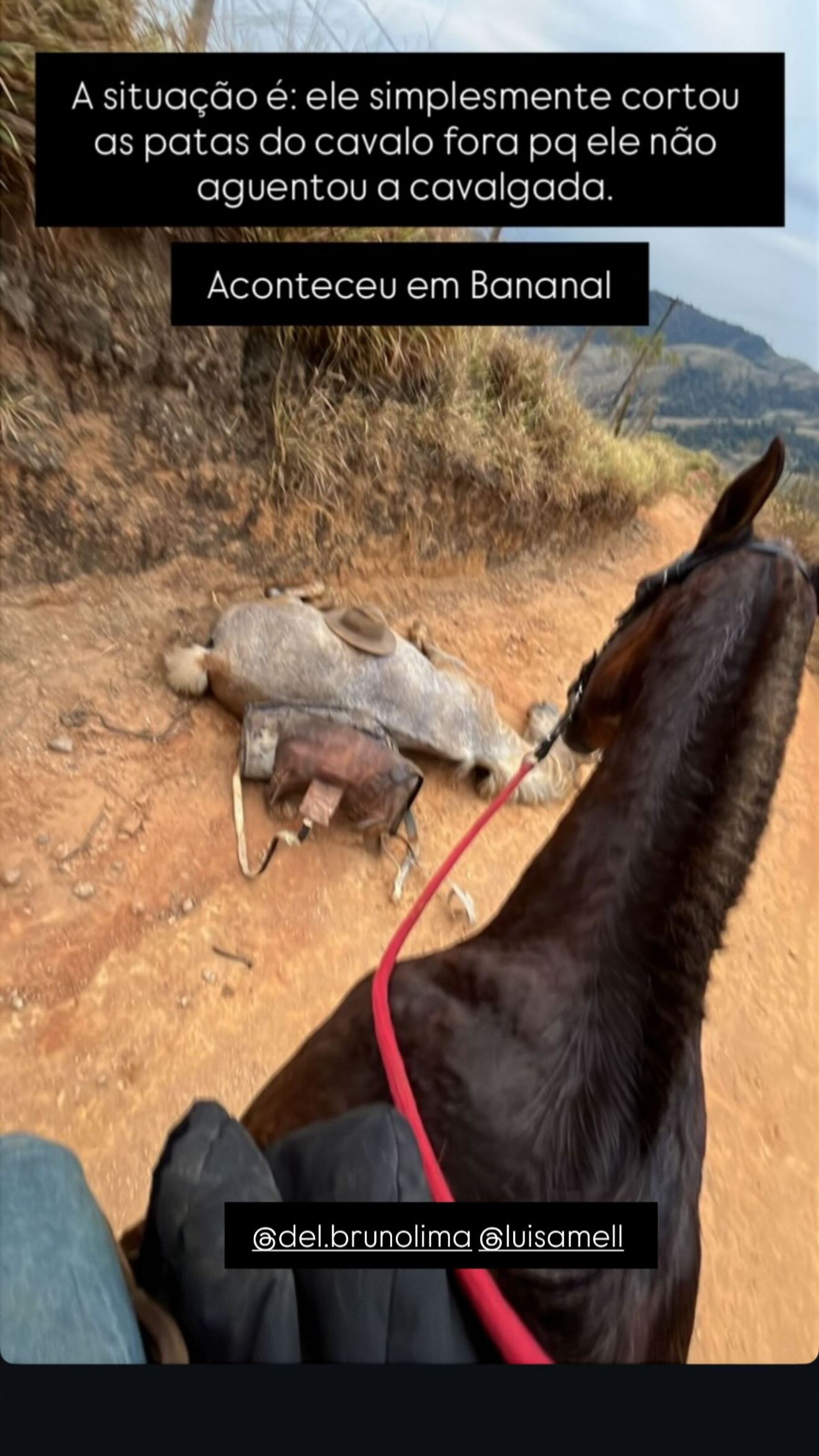 Cantora Ana Castela usou influência para denunciar maus-tratos a cavalo  - Reprodução/Instagram 