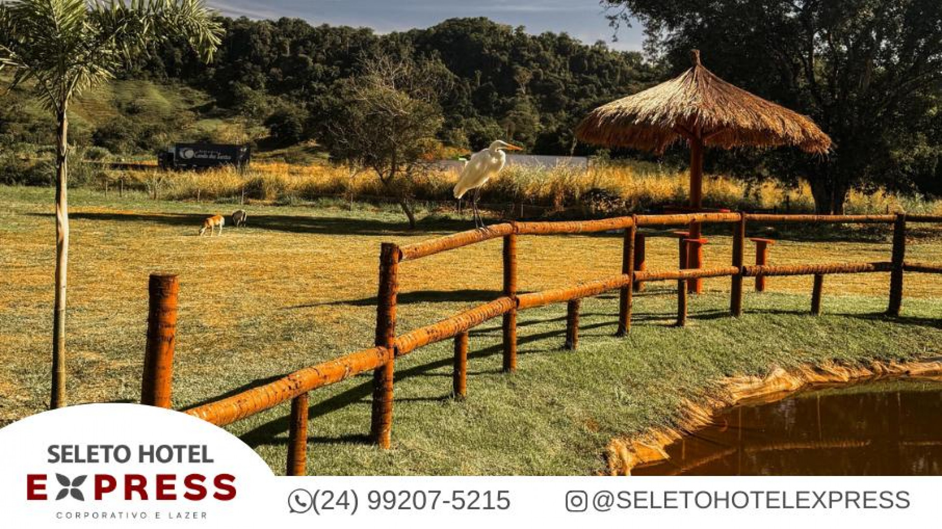  O Seleto Hotel Express, em Piraí, é o destino certo para quem busca descanso, diversão e contato real com a natureza - Seleto Hotel Express / Divulgação