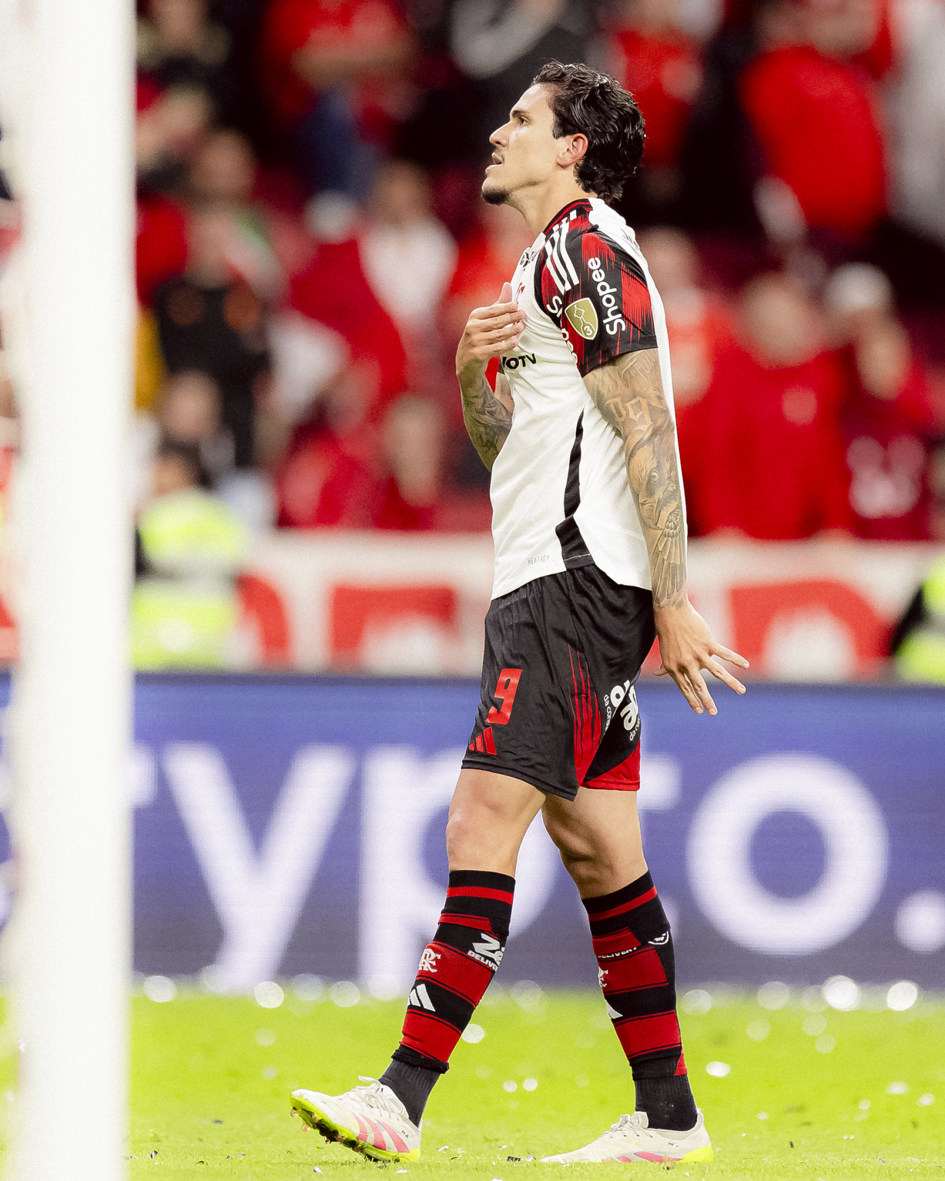 Comemoração de Pedro, atacante do Flamengo - Adriano Fontes/Flamengo