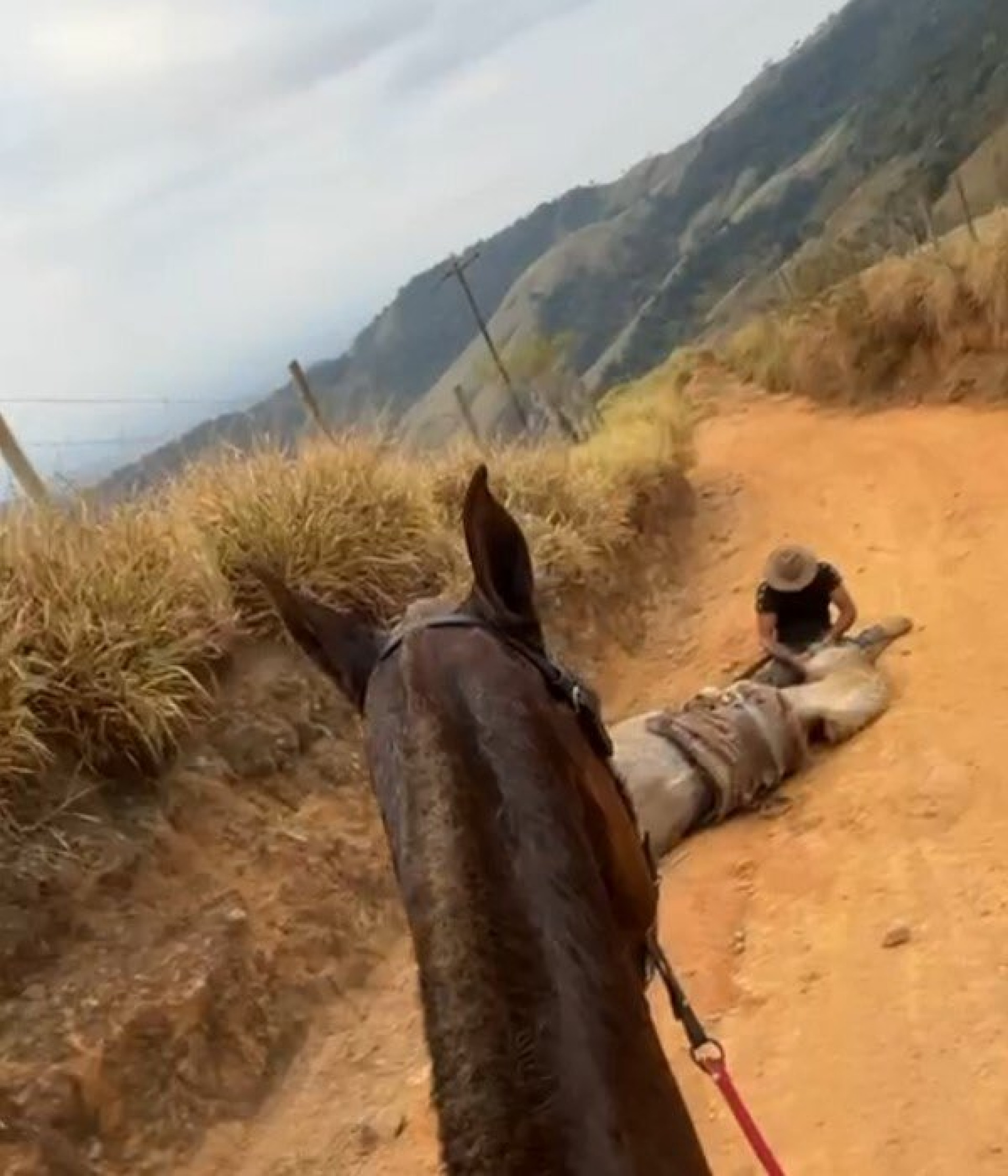 Caso aconteceu no último sábado (16) - Reprodução / X