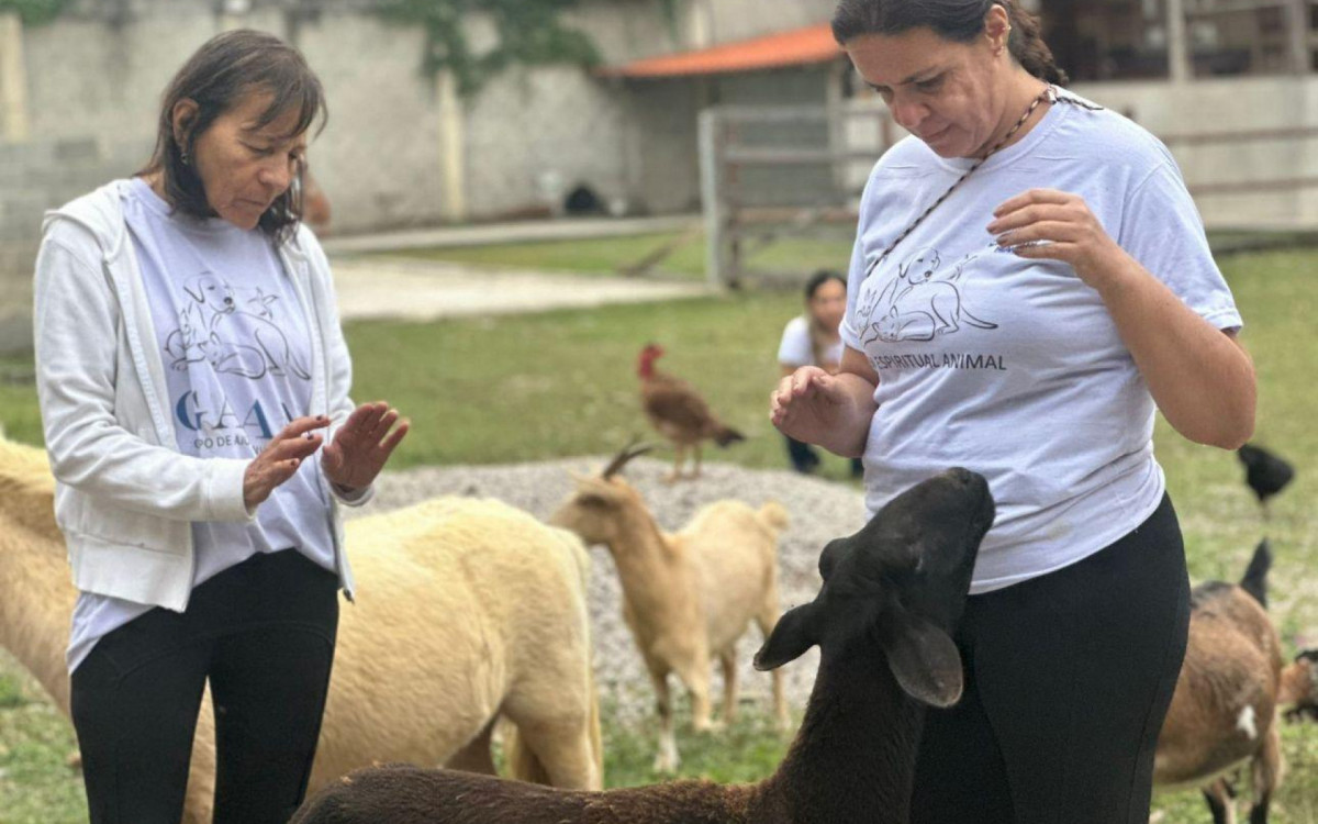 Voluntárias do Núcleo Espírita Allan de Melo (NEAM) prestam atendimento gratuito na Zona Oeste 