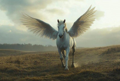 Os reflexos espirituais dos maus-tratos aos animais