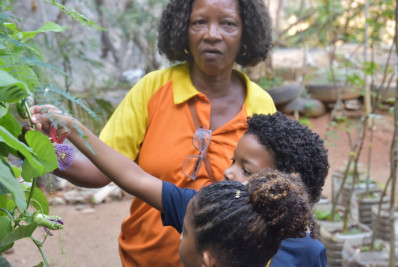 Alunos do Colégio Universitário Geraldo Reis (UFF) visitam viveiro de mudas da Clin