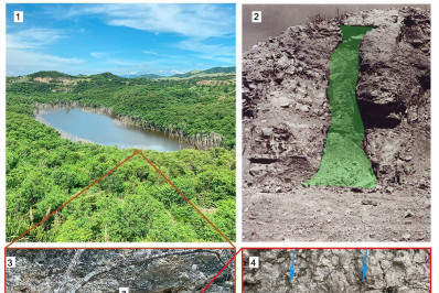 O animal trata-se do maior notoungulado já encontrado na Bacia Sedimentar de Itaboraí - Divulgação