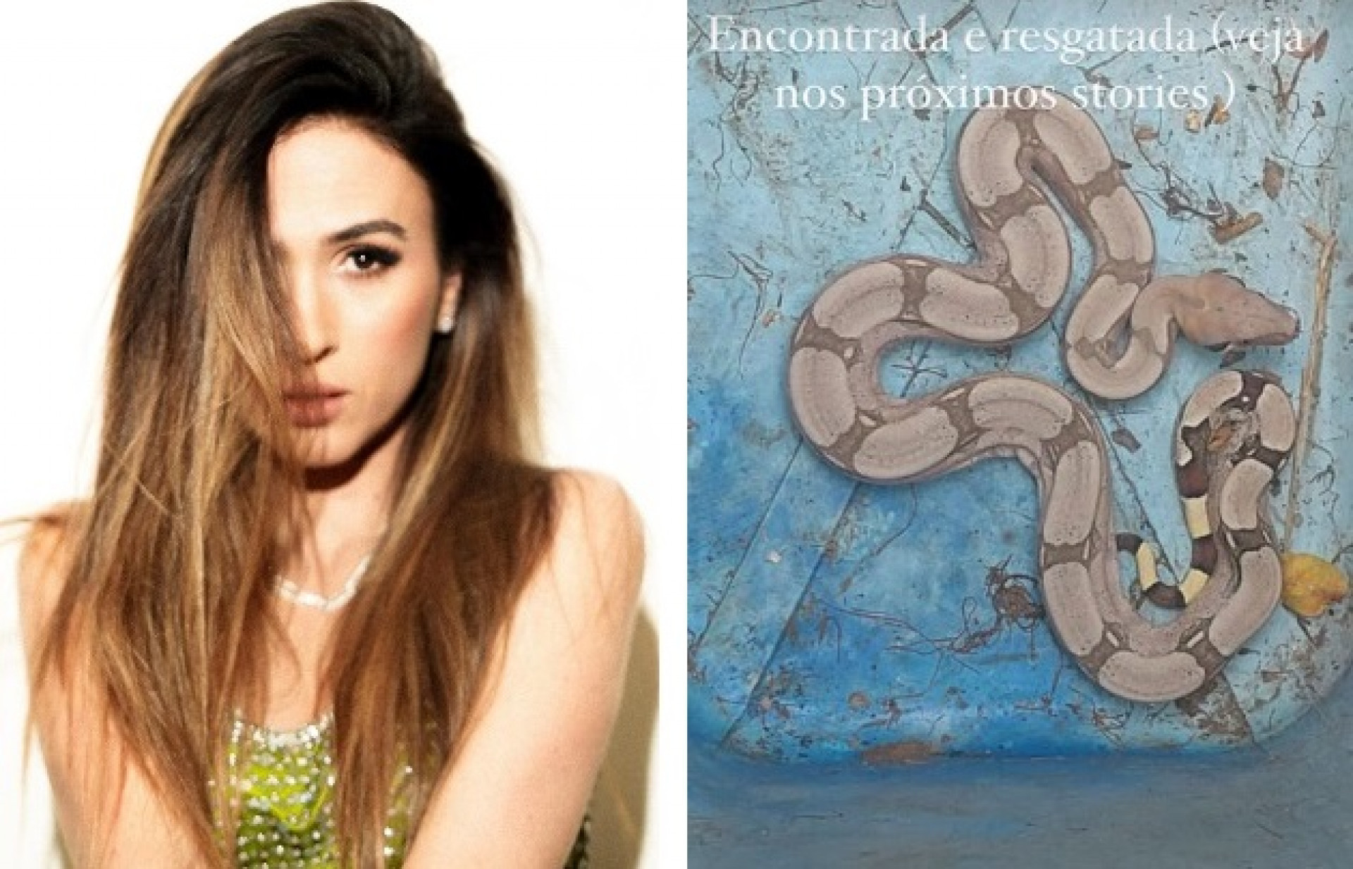 Tatá Werneck resgatou cobra e entregou em instituto  - Reprodução/Instagram 