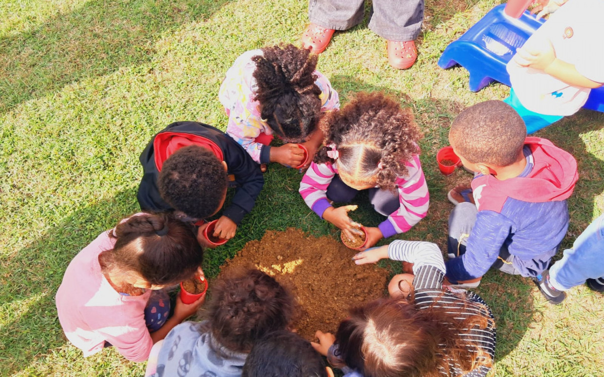 Alunos do Ariano Suassuna participaram do plantio de mudas