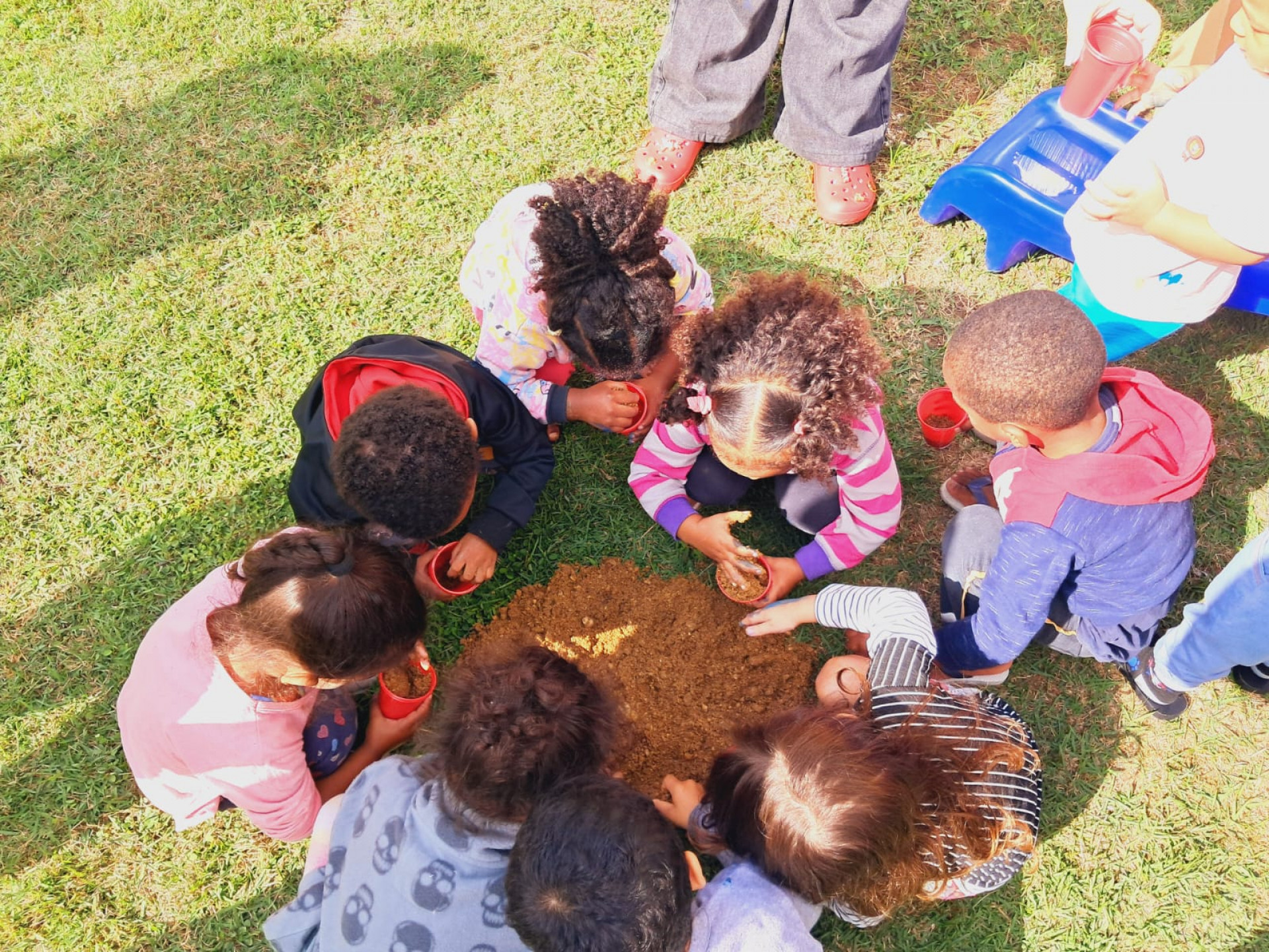 Alunos do Ariano Suassuna participaram do plantio de mudas - Luan de Brito/ PMM