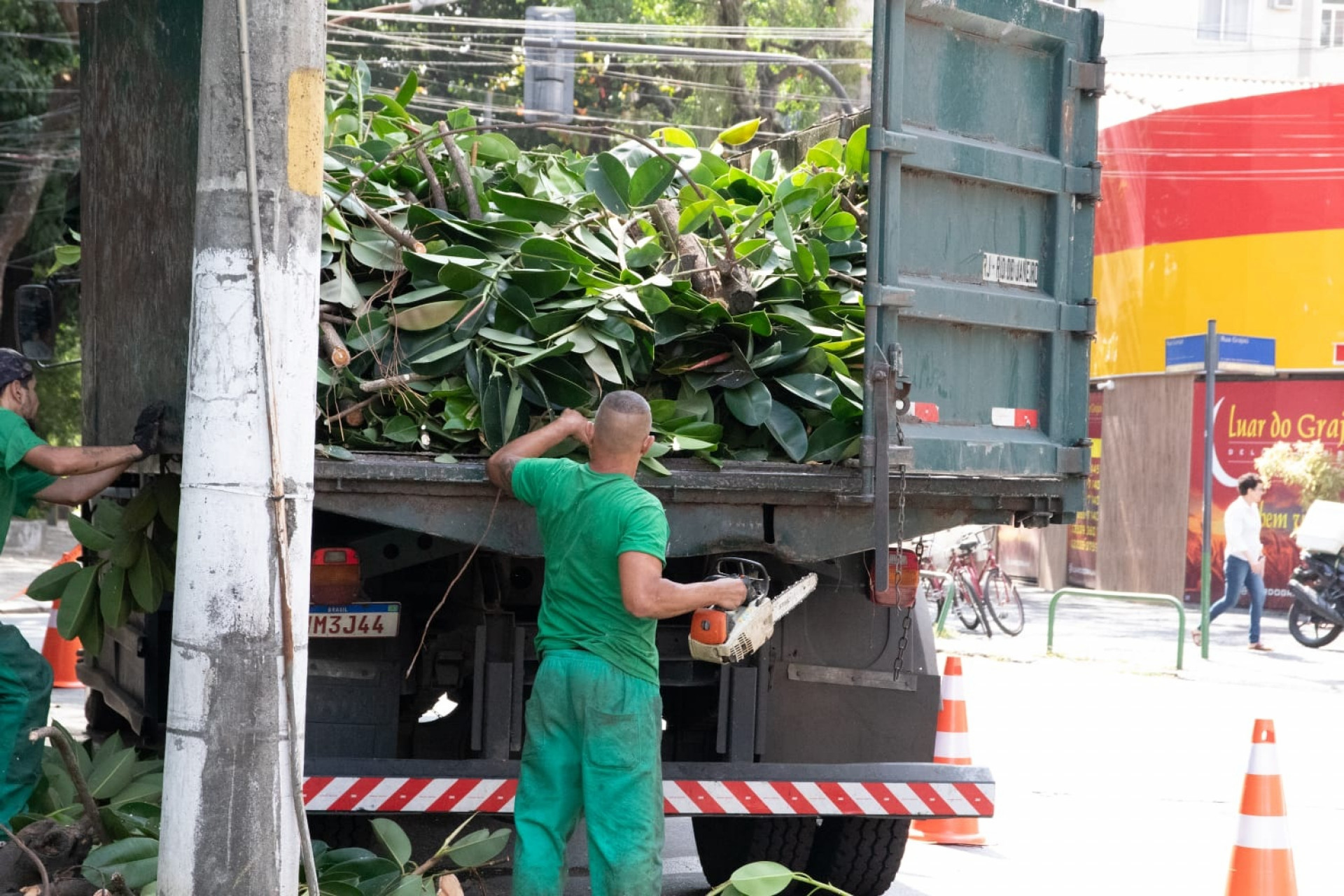 Segundo laudo da FPJ, havia os riscos de os galhos danificarem o telhado do imóvel, que é tombado - Érica Martin/Agência O Dia
