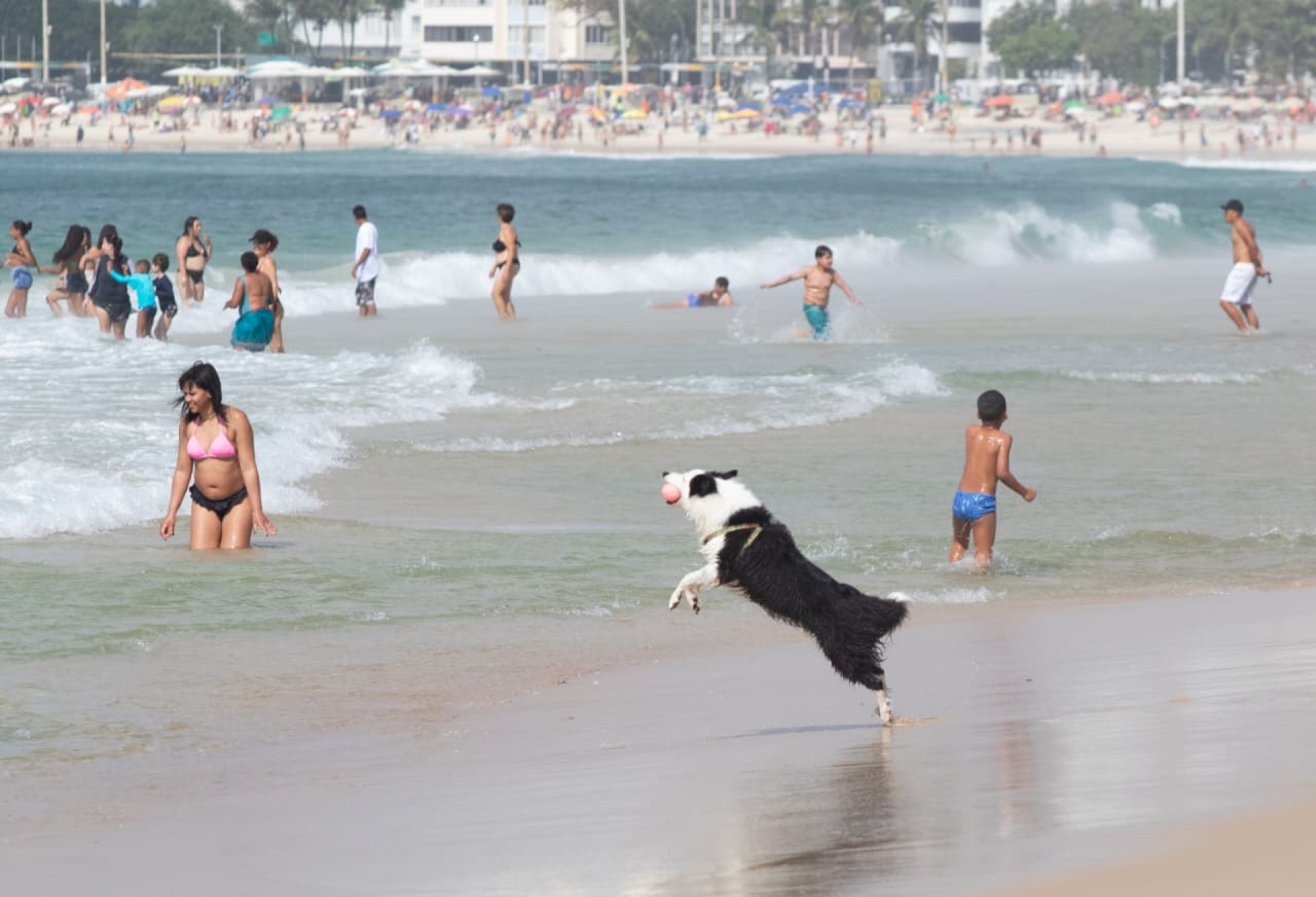 Praia de Copacabana ficou cheia na manhã deste domingo - Érica Martin / Agência O Dia