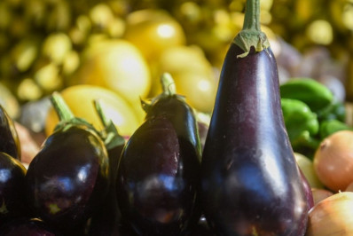 Alimentação escolar nas redes públicas terá programa em discussão