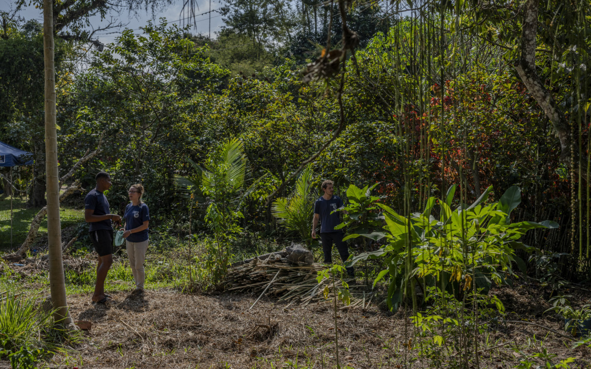 Projeto promove Feira de Trocas de Mudas, Sementes e Saberes em Magé - RODRIGO CAMPANARIO/DIVULGAÇÃO