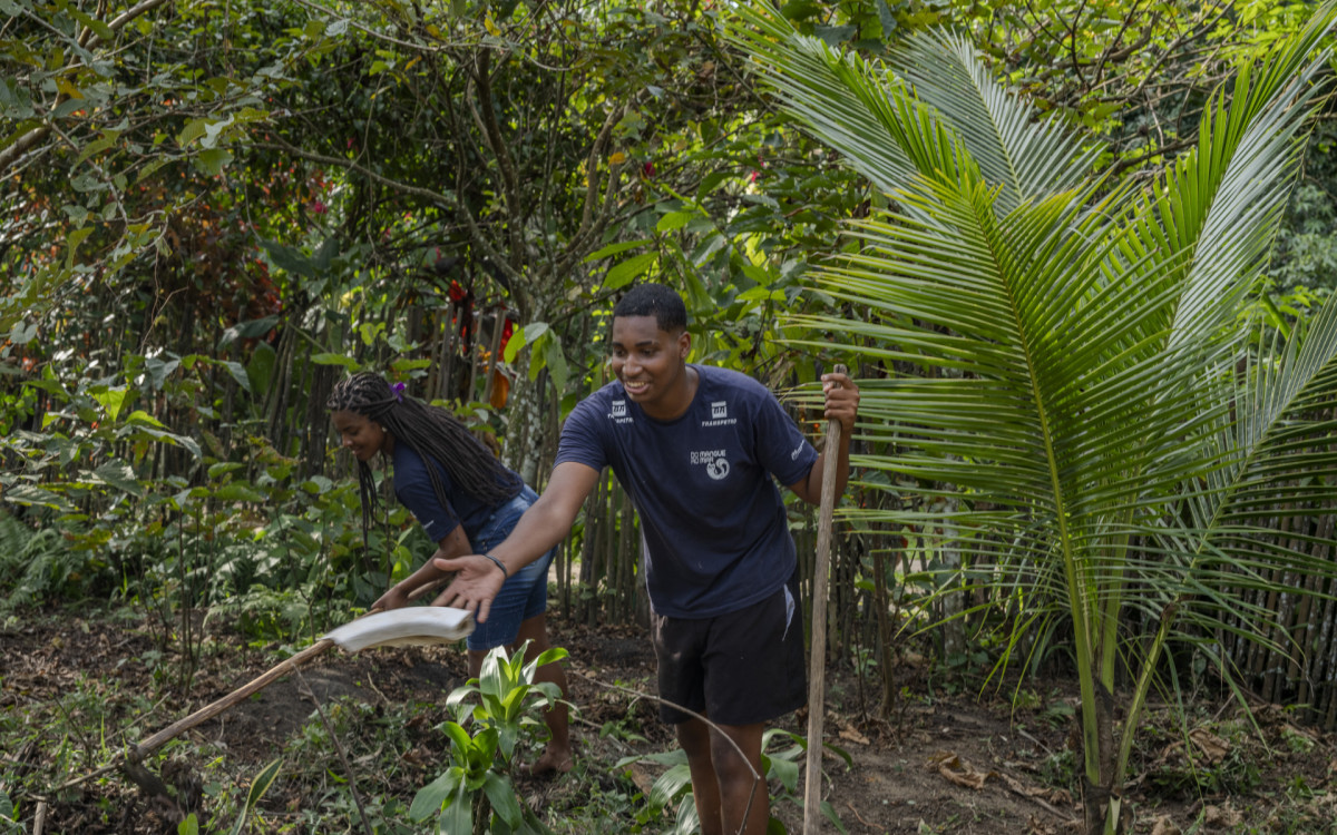 Projeto promove Feira de Trocas de Mudas, Sementes e Saberes em Magé - RODRIGO CAMPANARIO/DIVULGAÇÃO