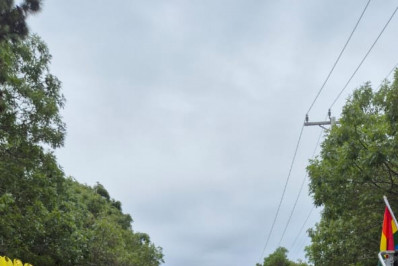 Selminha Sorriso brilha em evento de carnaval nos Estados Unidos