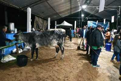 25º Torneio Leiteiro da Vila da Fumaça promete reunir tradição, competição e música em Resende