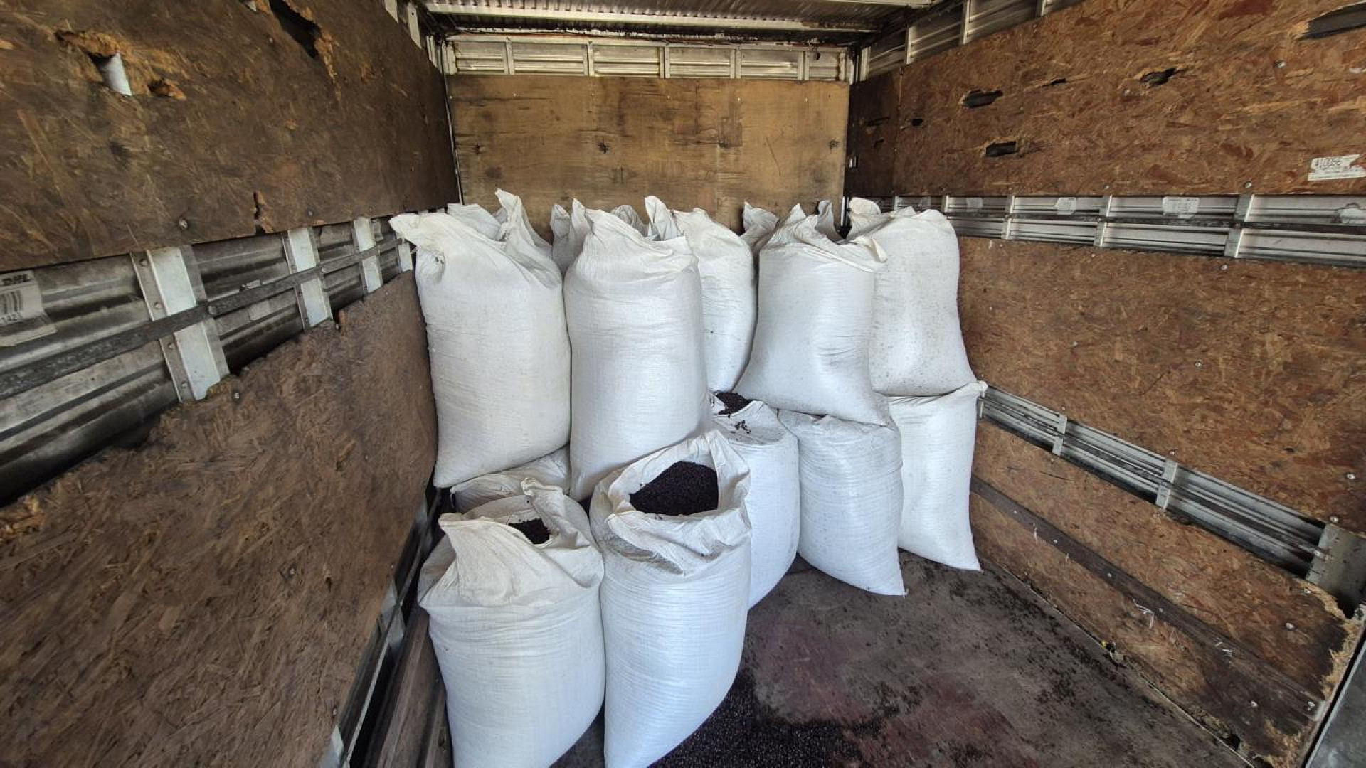 Cerca de três toneladas de café apreendidos passarão por análise na ABIC - Divulgação