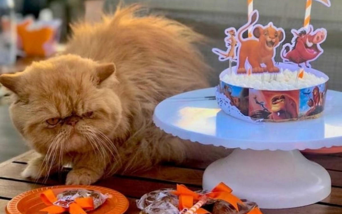 Festa de aniversário para pet está no calendário de muitas famílias