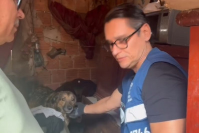Cães passam dois dias ao lado do cadáver do dono aguardando resgate em comunidade no Rio