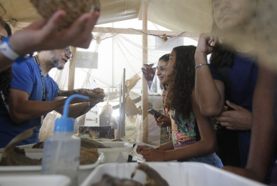 Festival na Quinta da Boa Vista celebra reconstrução do Museu Nacional 