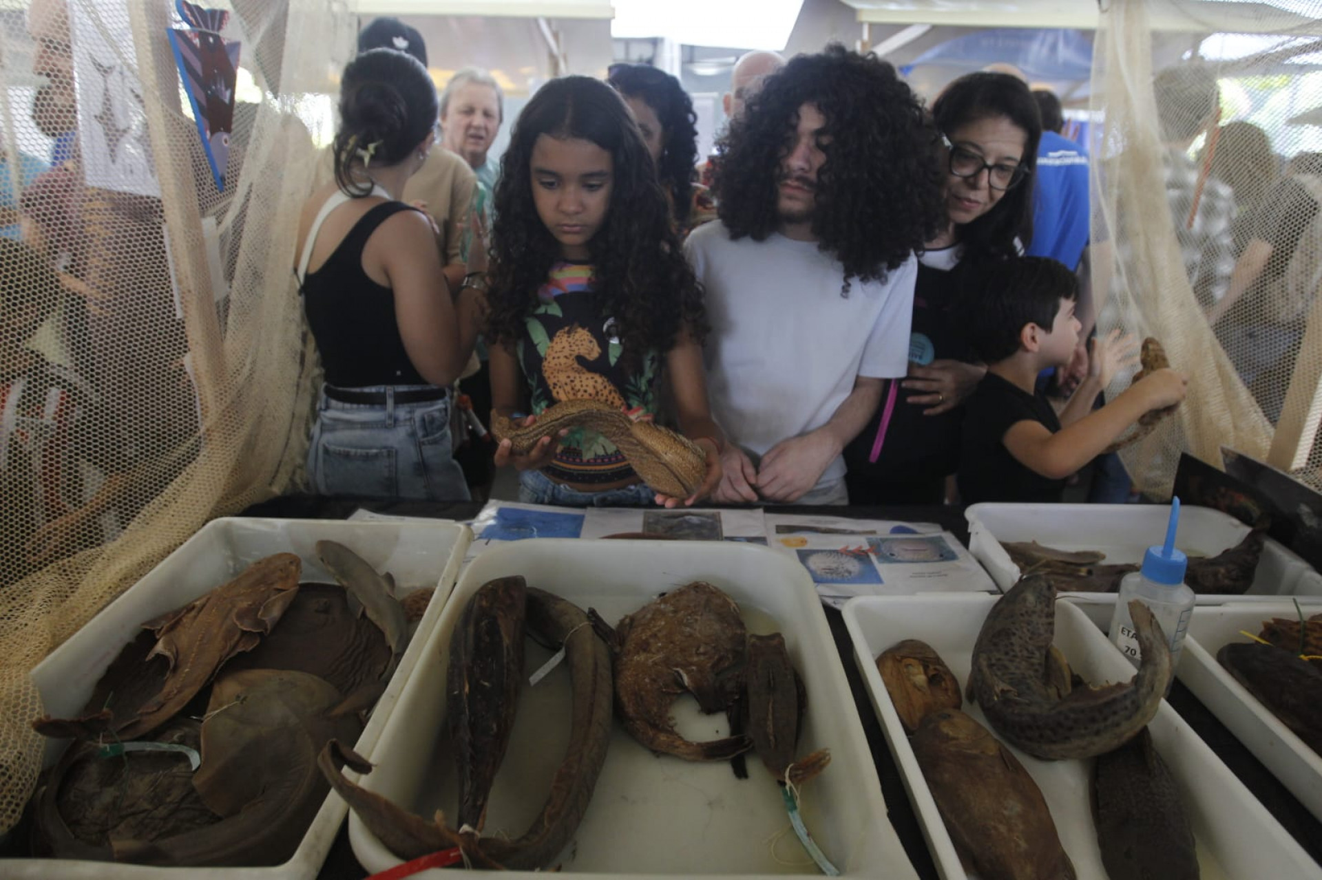 Evento é gratuito - Reginaldo Pimenta / Agência O Dia