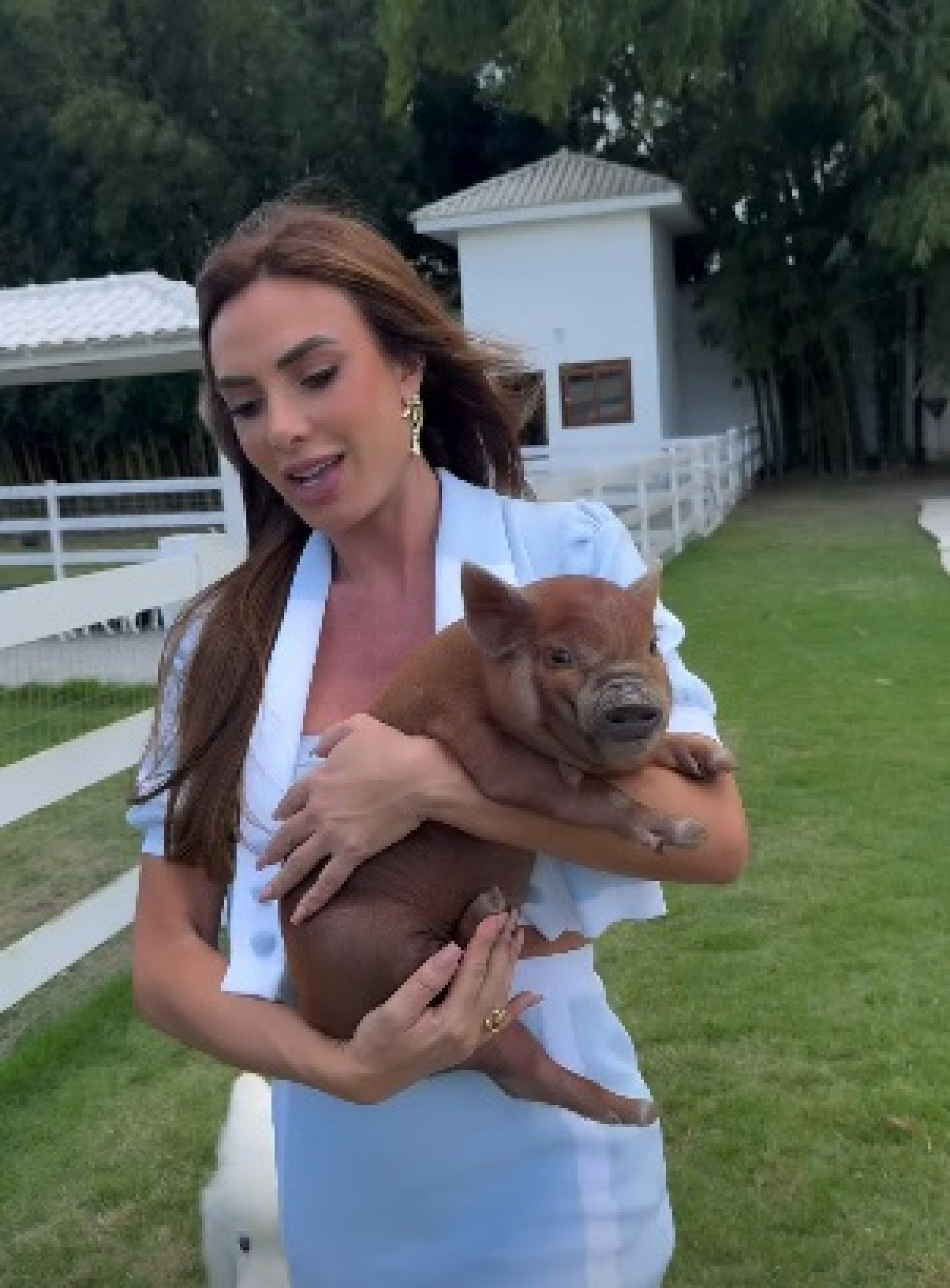 Fepa Pig é a nova moradora do sítio de Nicole Bahls - Reprodução/Instagram 