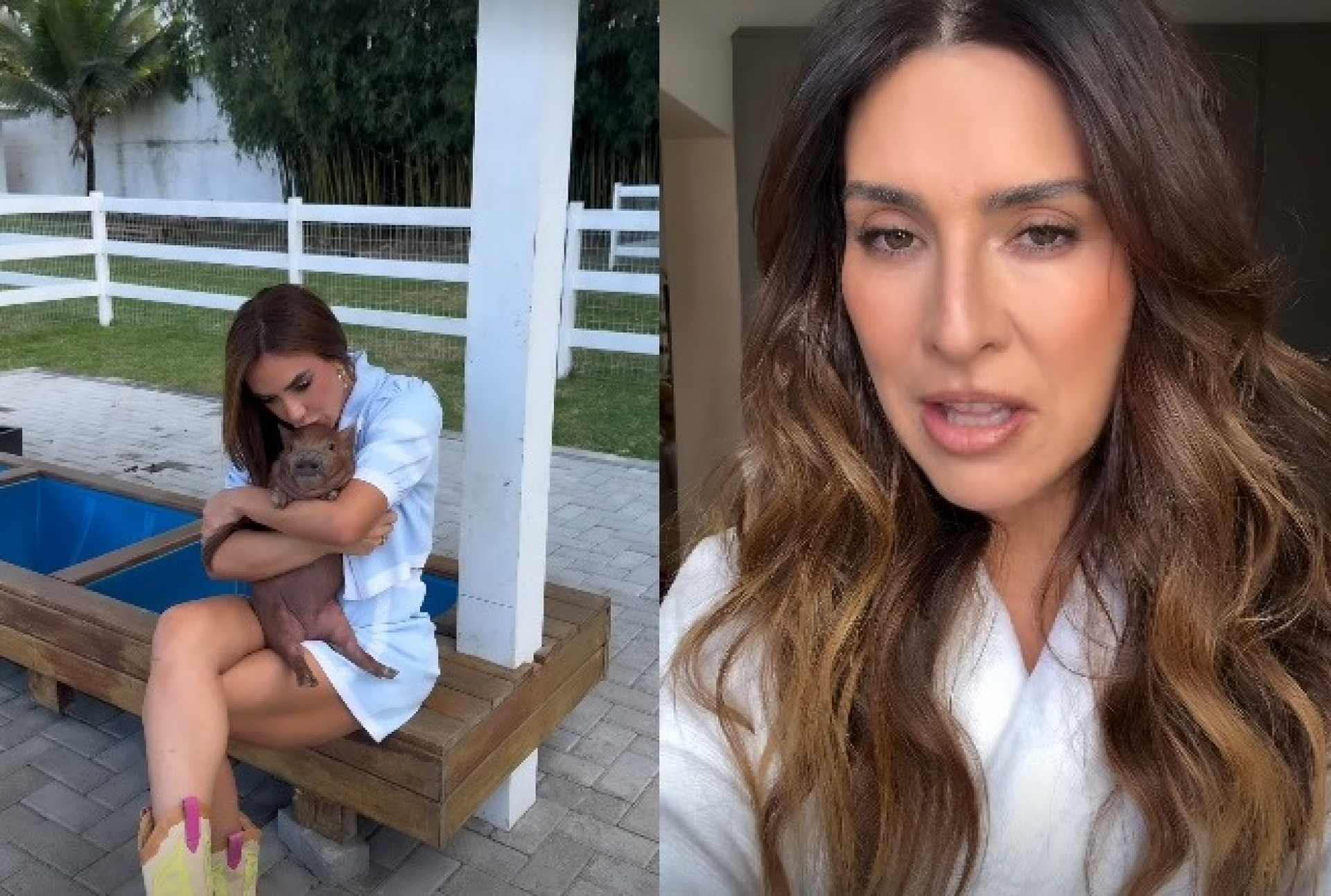 Nicole Bahls deu nome de Fernanda Paes Leme para porquinha  - Reprodução/Instagram 