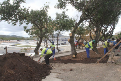 Governo do Estado e Prefeitura iniciam plantio de grama e mudas no Parque RJ