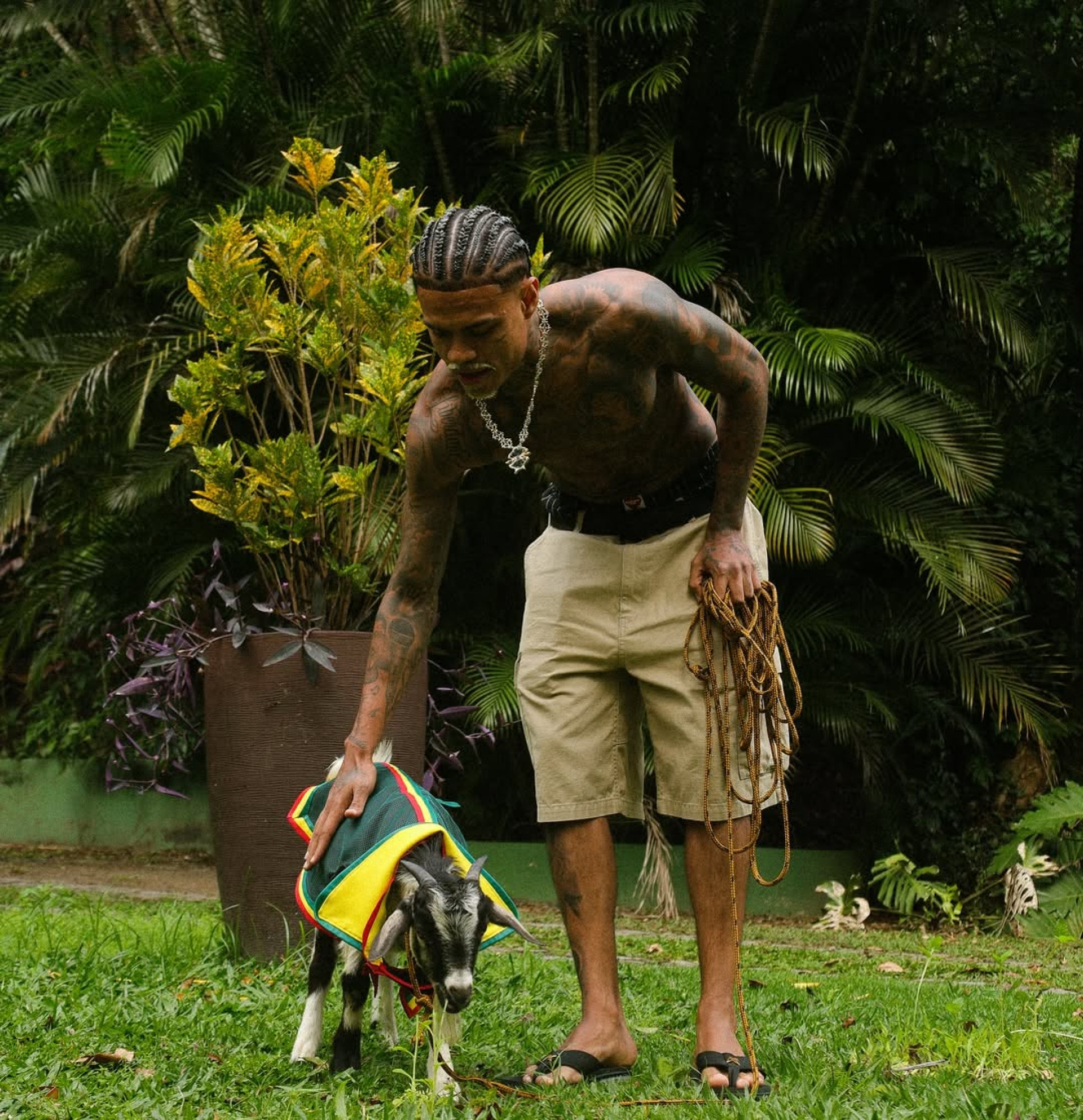 MC Cabelinho adota bode - Reprodução / Instagram