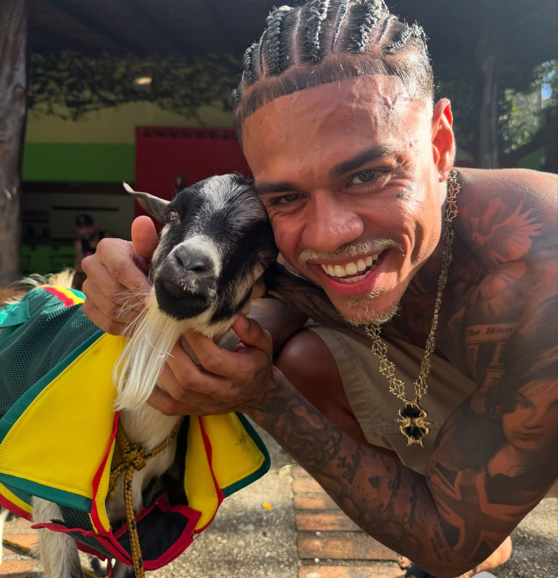 MC Cabelinho adota bode - Reprodução / Instagram