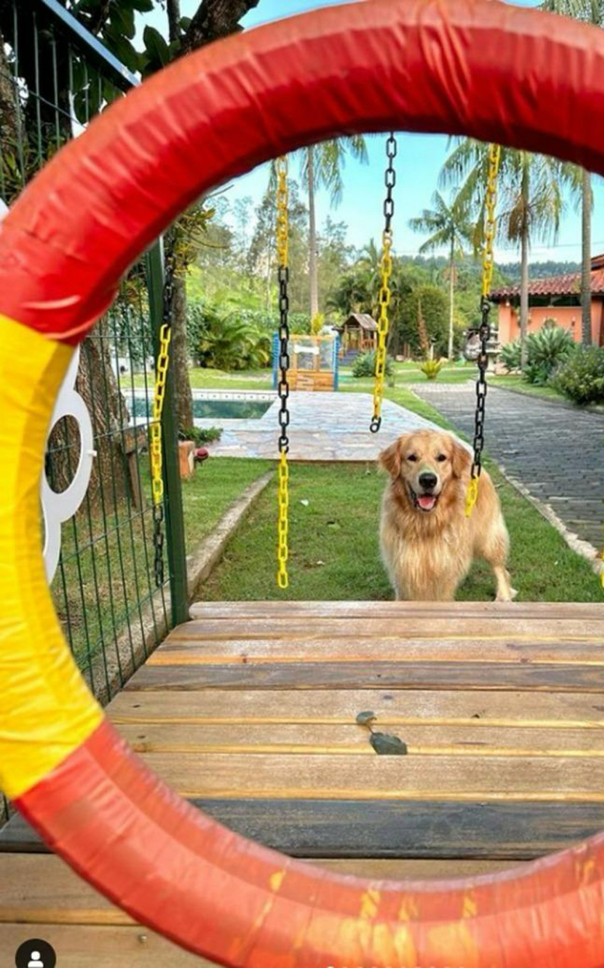 O diferencial na hospedagem de animais - foto de divulgação