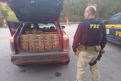 PRF apreende 260 aves silvestres e substância semelhante à maconha