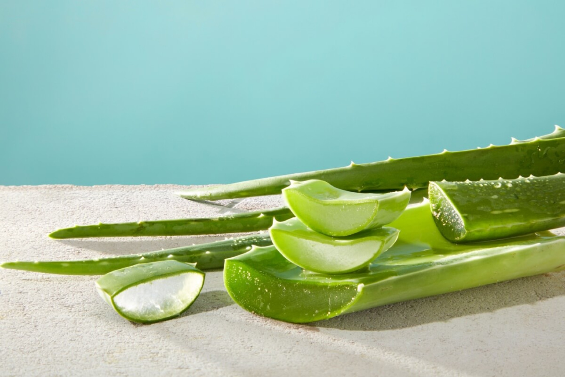 A aloe vera ganhou protagonismo nos cuidados com a pele e &eacute; usada em diferentes rotinas de beleza (Imagem: Light Stock | Shutterstock)