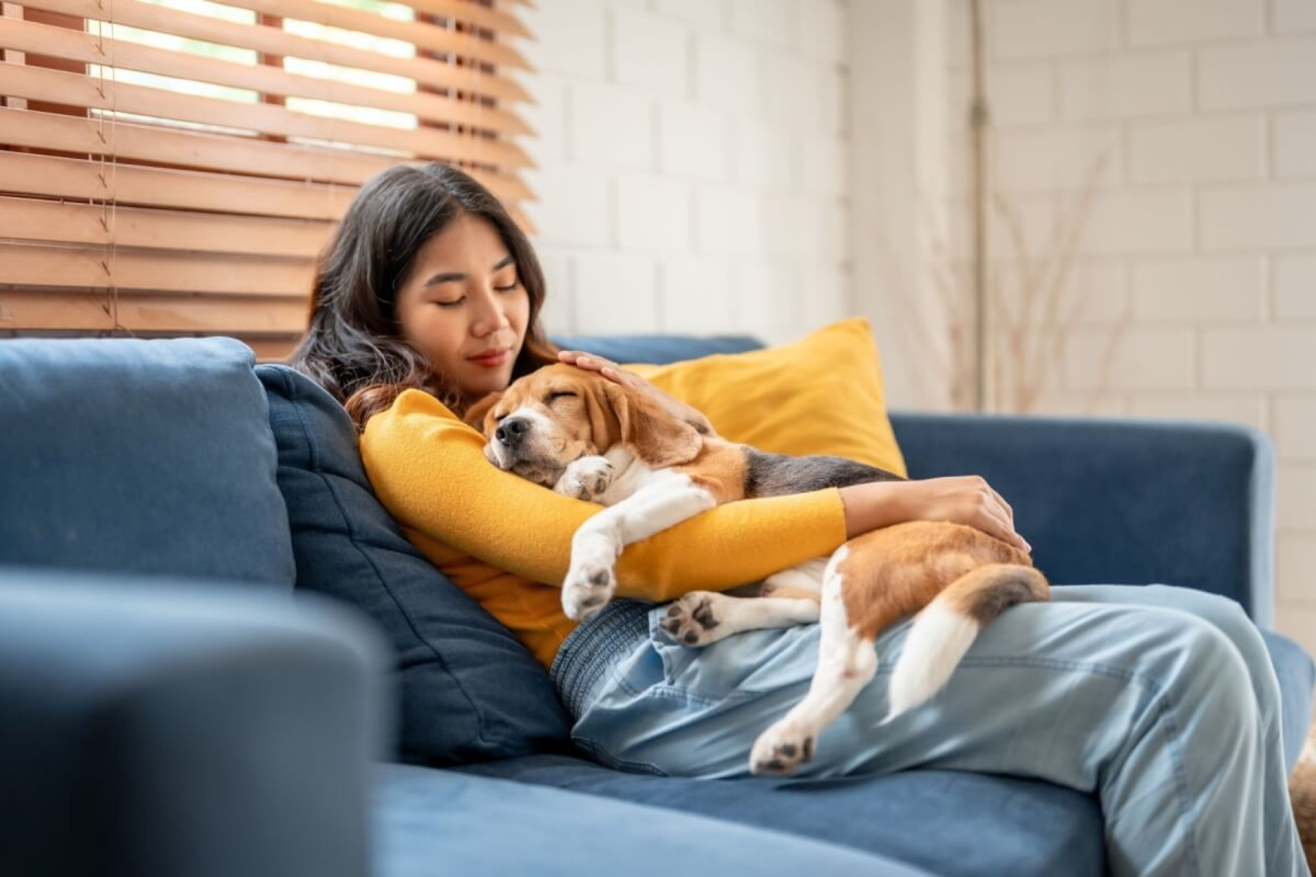 H&aacute; nomes perfeitos para cachorros tranquilos (Imagem: Hananeko_Studio | Shutterstock)