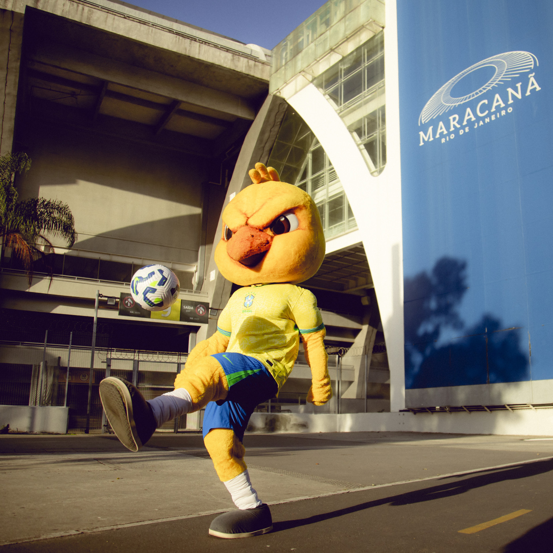 Canarinho marcou presença no Maracanã - Divulgação / CBF
