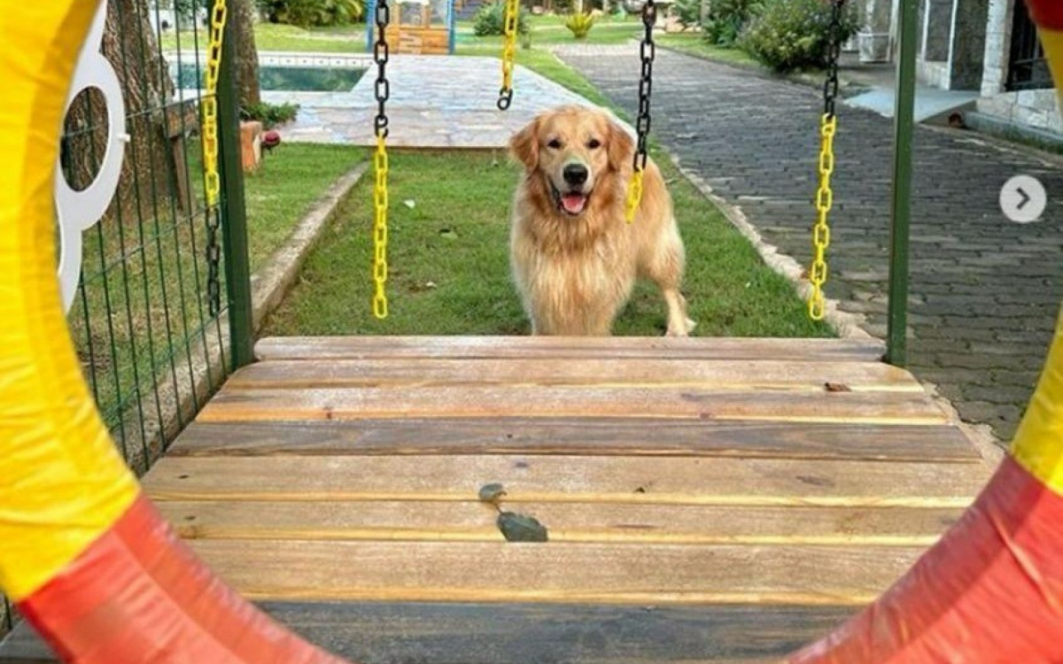 O diferencial na hospedagem de animais