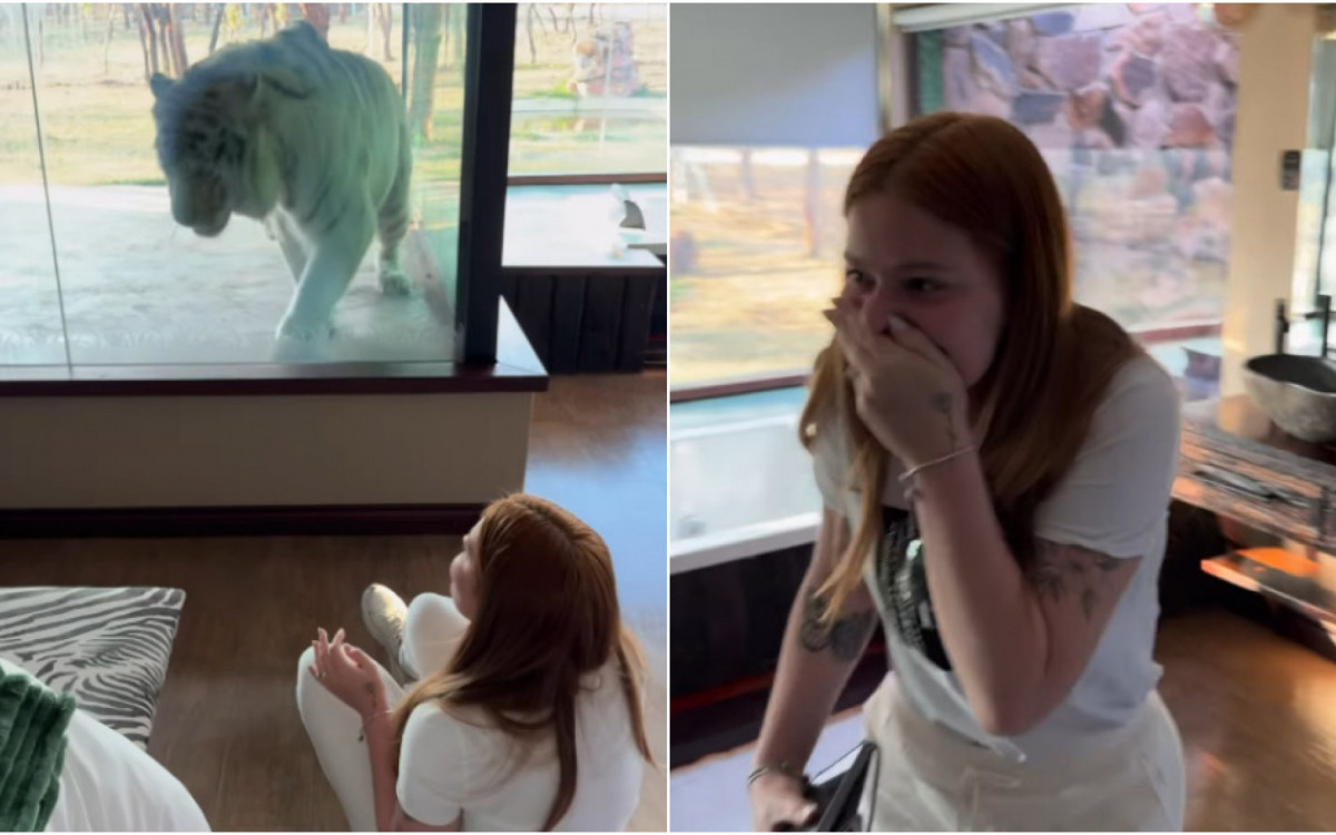 Viih Tube se surpreende com tigre em frente a quarto de hotel na África - Reprodução/Instagram