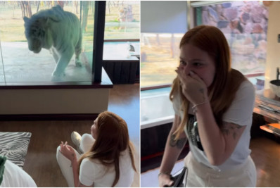 Viih Tube e Eliezer se hospedam em hotel na África com diária de R$ 4 mil no meio de safári