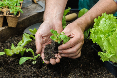 Feira do Produtor Rural Itinerante celebra 47 anos de Vilatur, em Saquarema