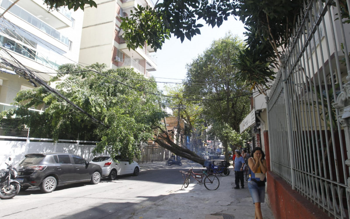 Ela ficou atravessada na via e só não caiu em cima de um carro estacionado porque ficou escorada na fiação dos postes no local - Reginaldo Pimenta / Agência O Dia