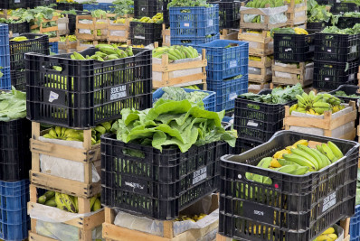 Agricultura familiar fortalece merenda escolar e aquece economia de Macaé