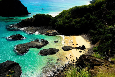 Estudo revela presença de espécies de animais exclusivas de ilhas brasileiras