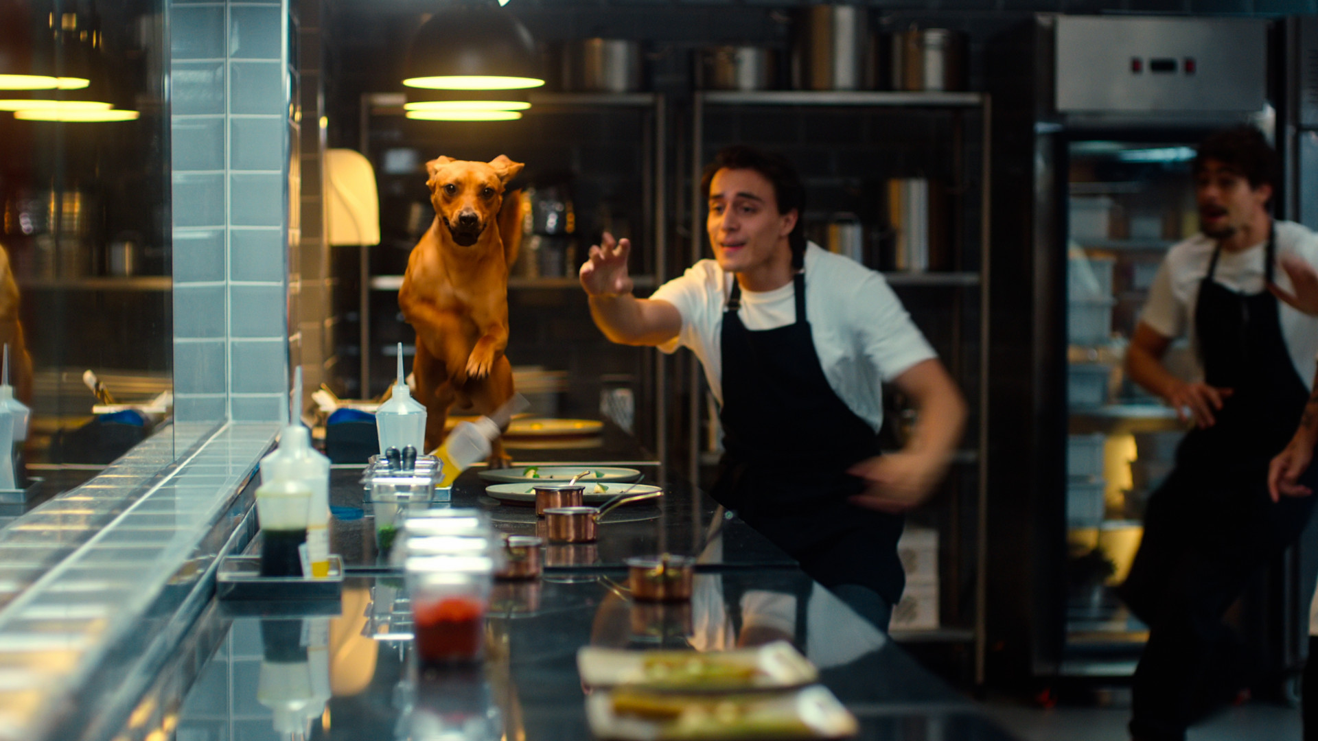 Estrelado por Rafa Vitti e cãozinho Amendoim, filme 'Caramelo' estreia no dia 8 de outubro na Netflix - Divulgação