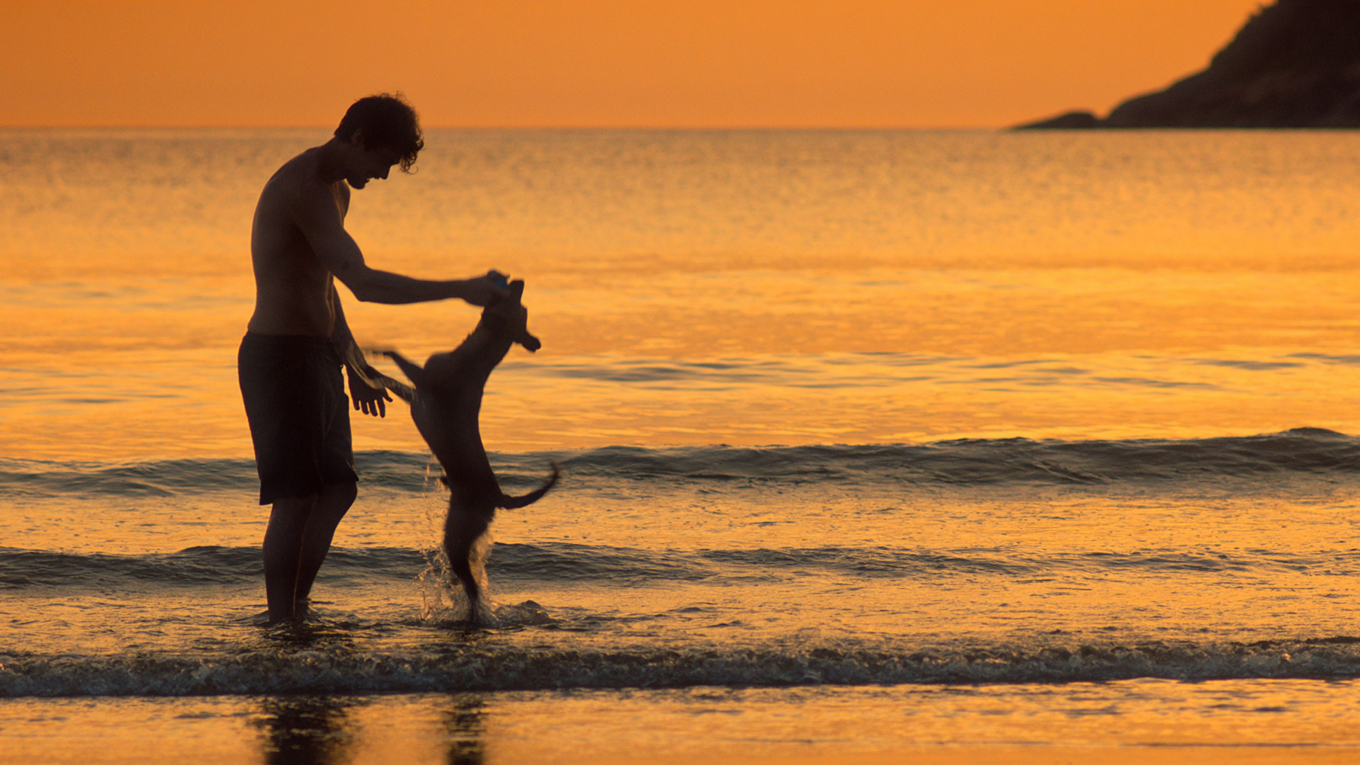 Pedro (Rafa Vitti) e Caramelo (Amendoim) - Divulgação